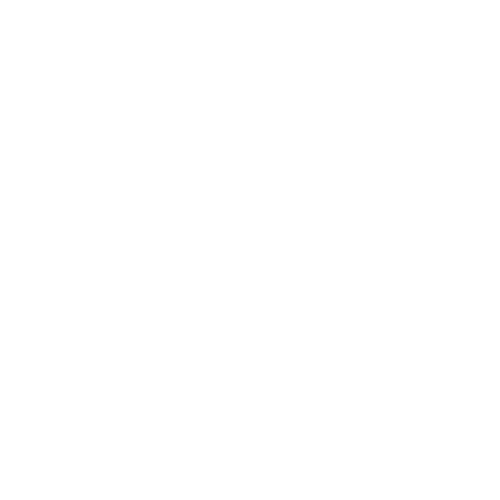 Dohnenaufnahmen - Film Rautenberg Media Drohne Icon